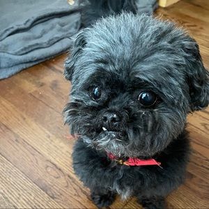 Meet your Posher, Barbara